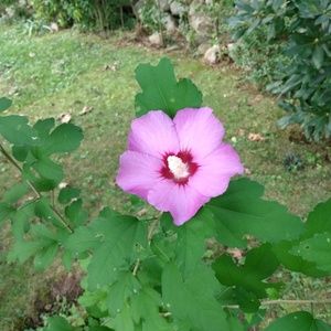 Meet your Posher, Marianne